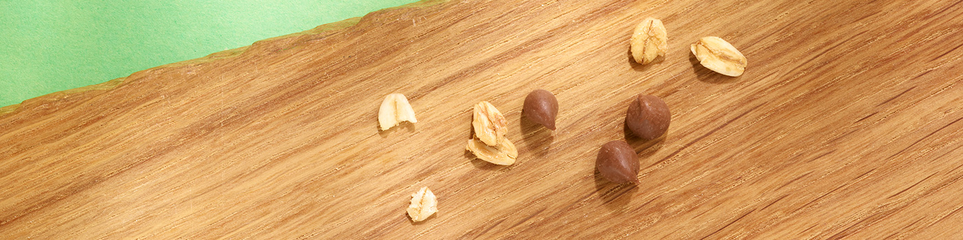 Crunchy Chocolate Chip Ingredients