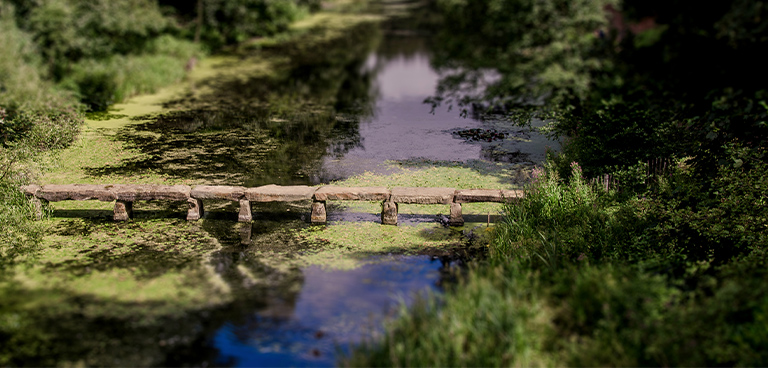 Hiking Nostell