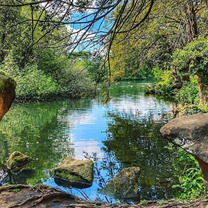 Nature Valley Instagram nature - Link to social post