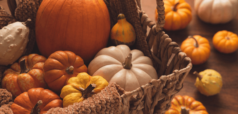 Pumpkins of various sizes and colours placed in a brown basket.