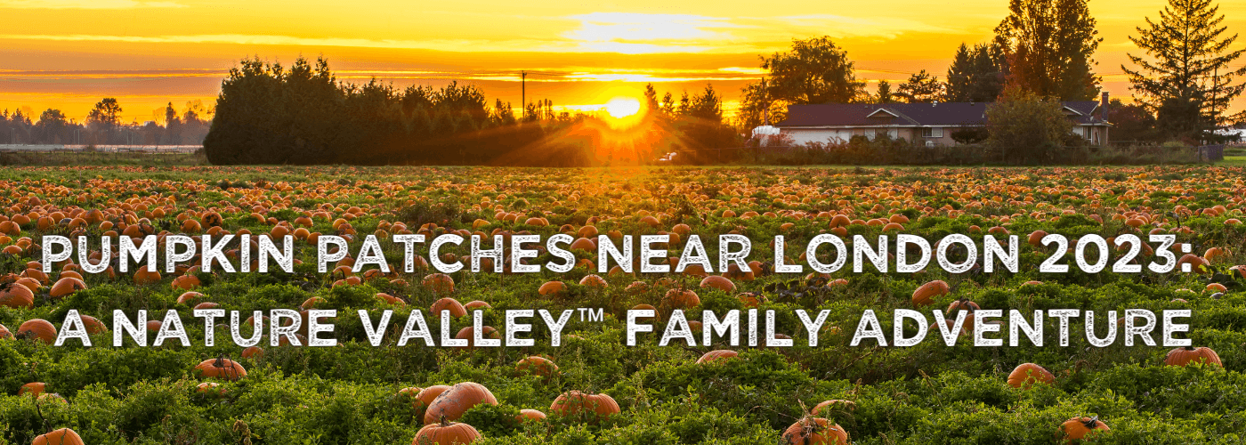A picturesque pumpkin patch during golden hour, where the warm sunlight enhances the autumn colors.