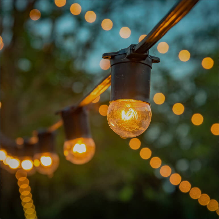 Christmas lights lit up during evening time