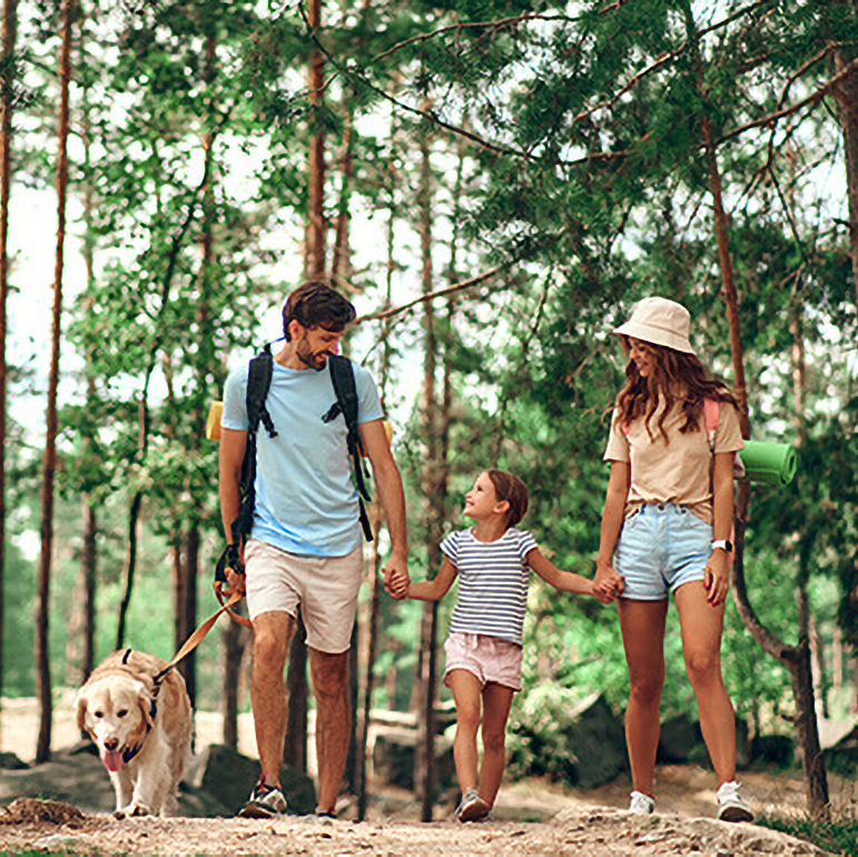 Family walking in the woods