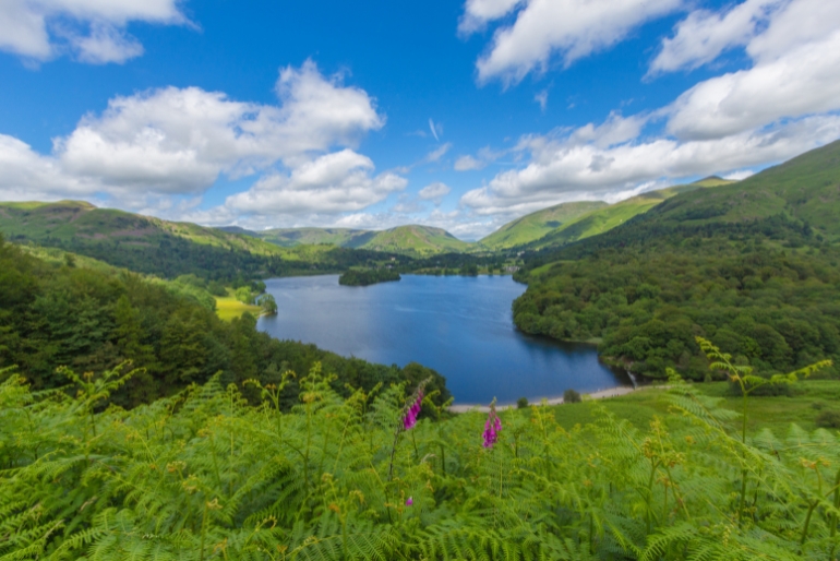 Grasmere Lake surrounded by green pasture of hills.